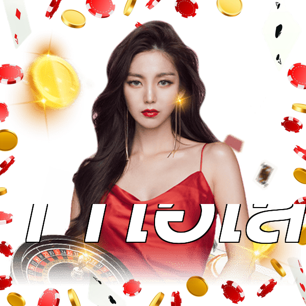 11ไฮโล